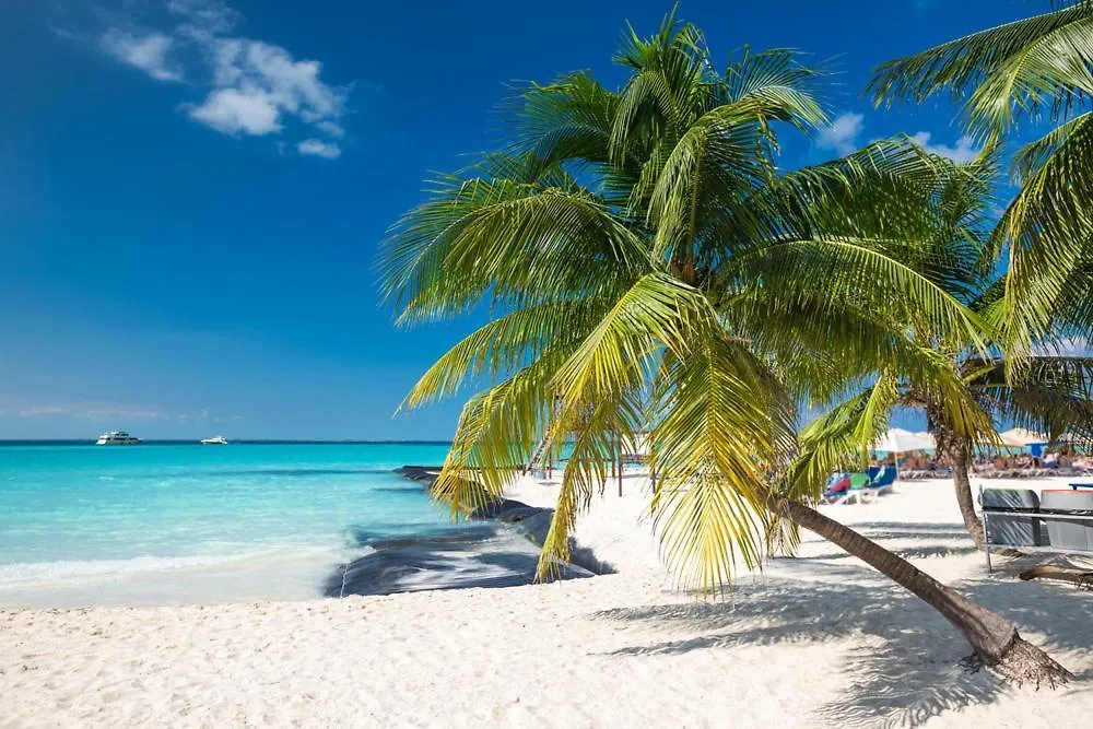 Apartmán Junior Suite-Ocean View Cancún